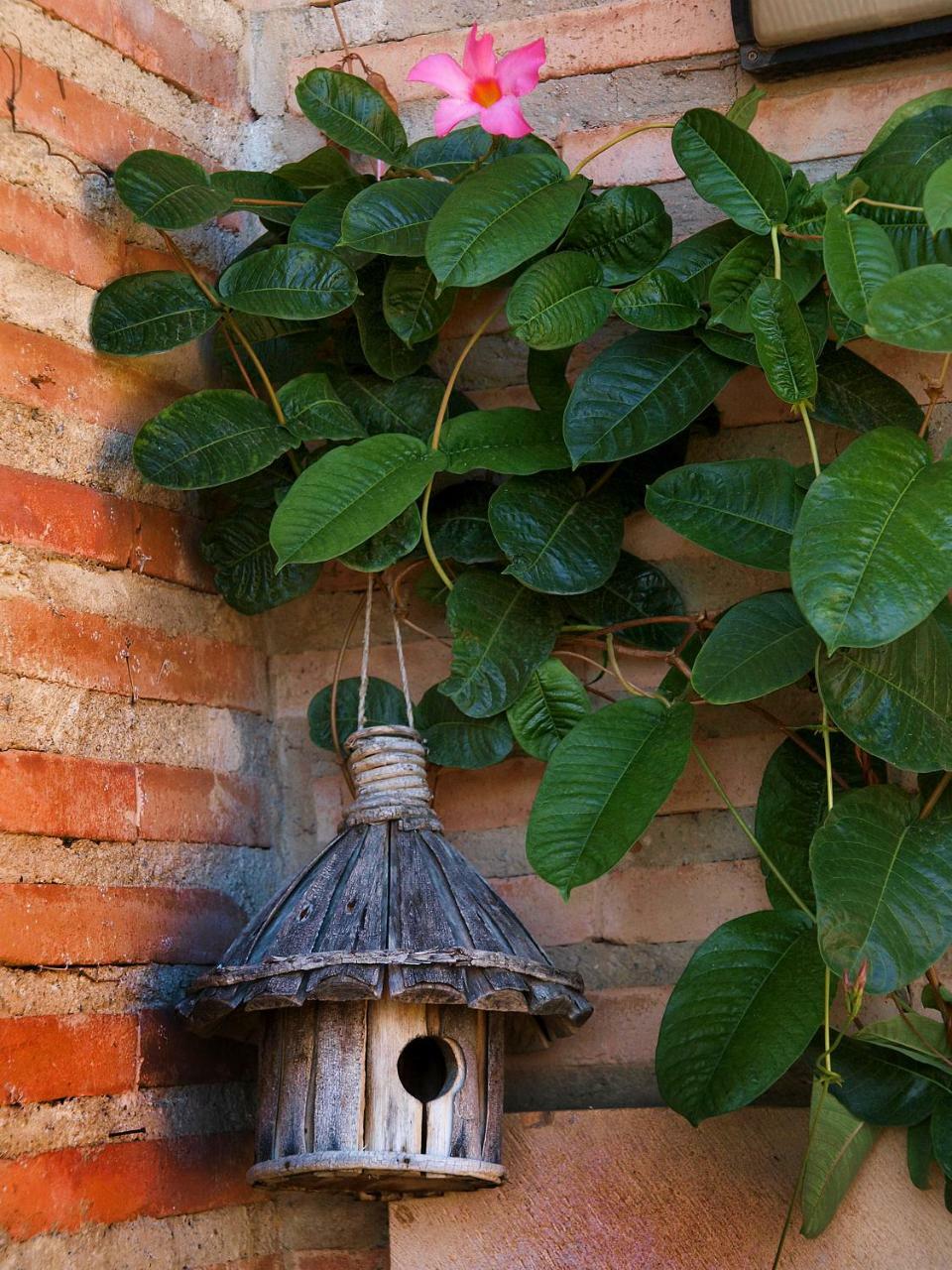 Hotel Santa Maria De อัลเกซาร์ ภายนอก รูปภาพ